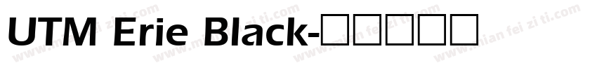 UTM Erie Black字体转换
